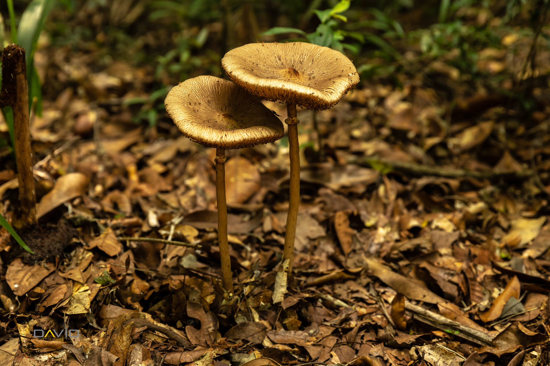 Foto aPriscila & Thiago | Vem andar Comigo porque hoje é um dia só pra nós Foto aPriscila & Thiago | Vem andar Comigo porque hoje é um dia só pra nós - Imagem 34