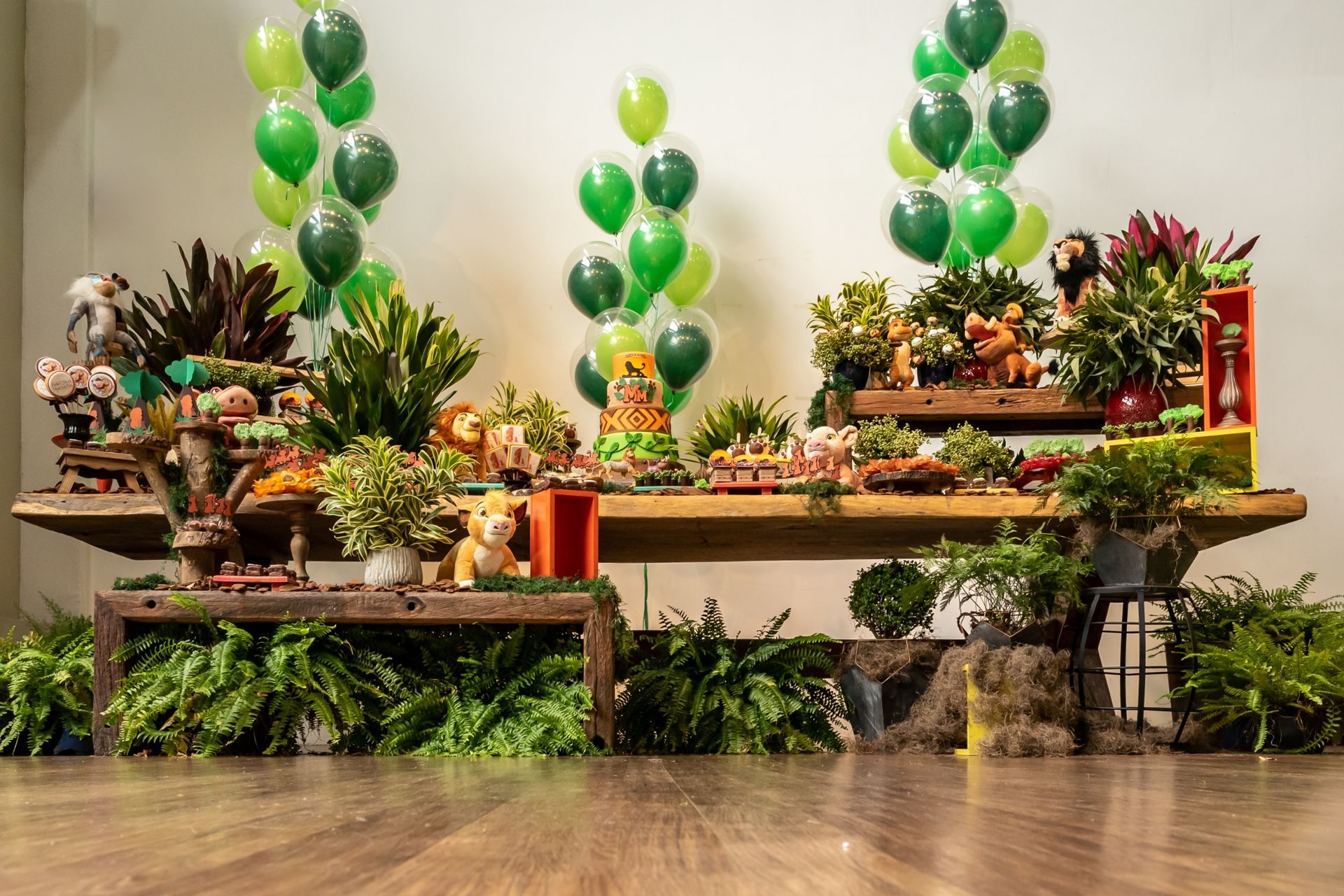 Foto Matheus e Marcos Niver - Imagem 7