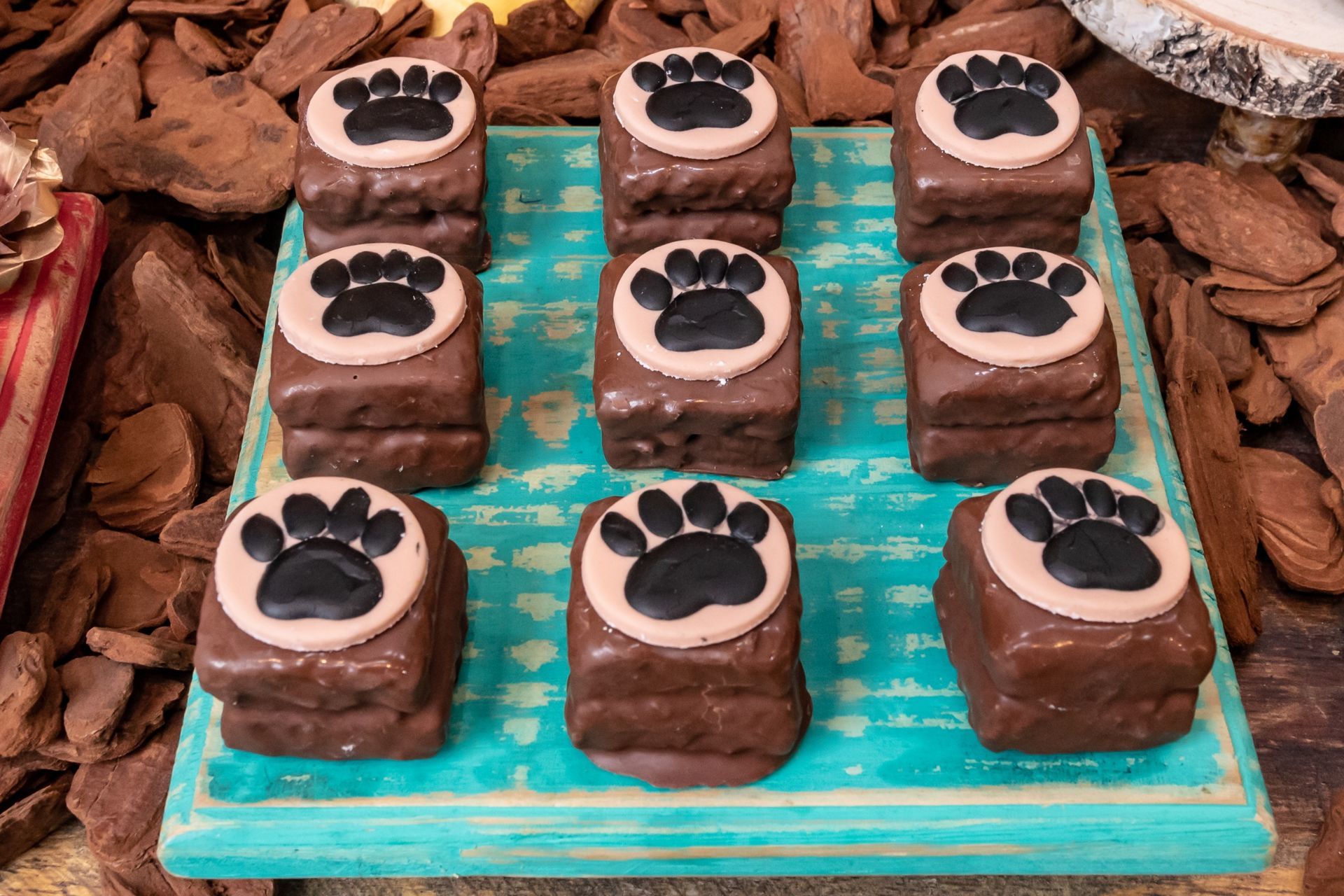 Foto Matheus e Marcos Niver - Imagem 9