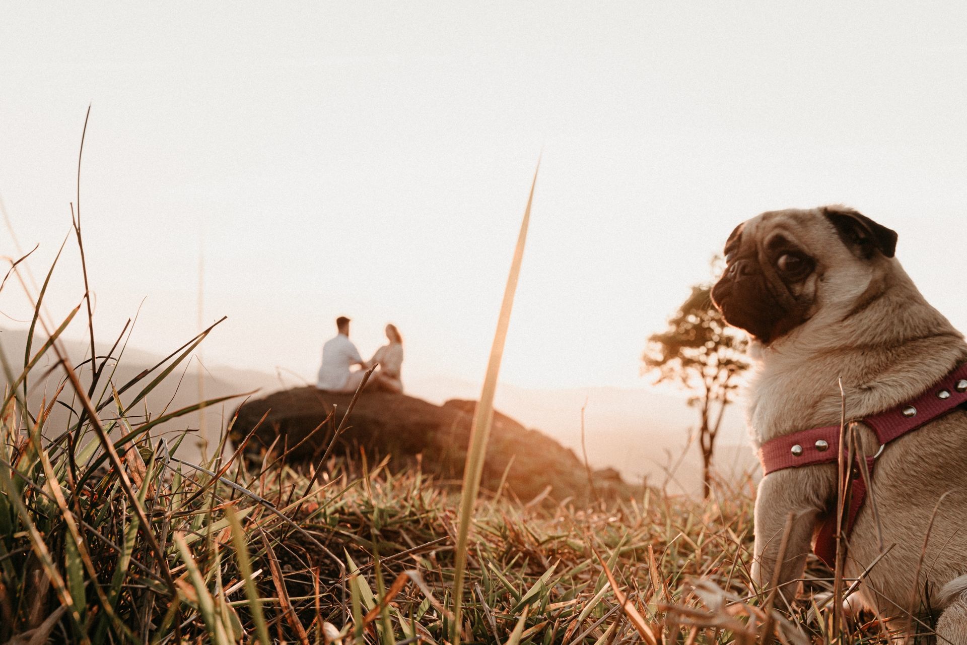 Foto Priscila e Leo | Superação | Ensaio no Pico Foto Priscila e Leo | Superação | Ensaio no Pico - Imagem 9
