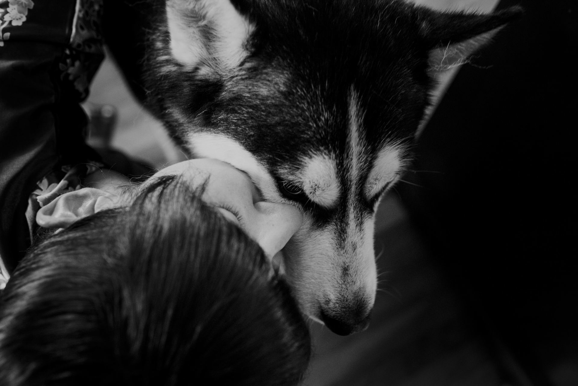 Foto Maria & George | Somos uma Família | Mini Wedding Foto Maria & George | Somos uma Família | Mini Wedding - Imagem 1