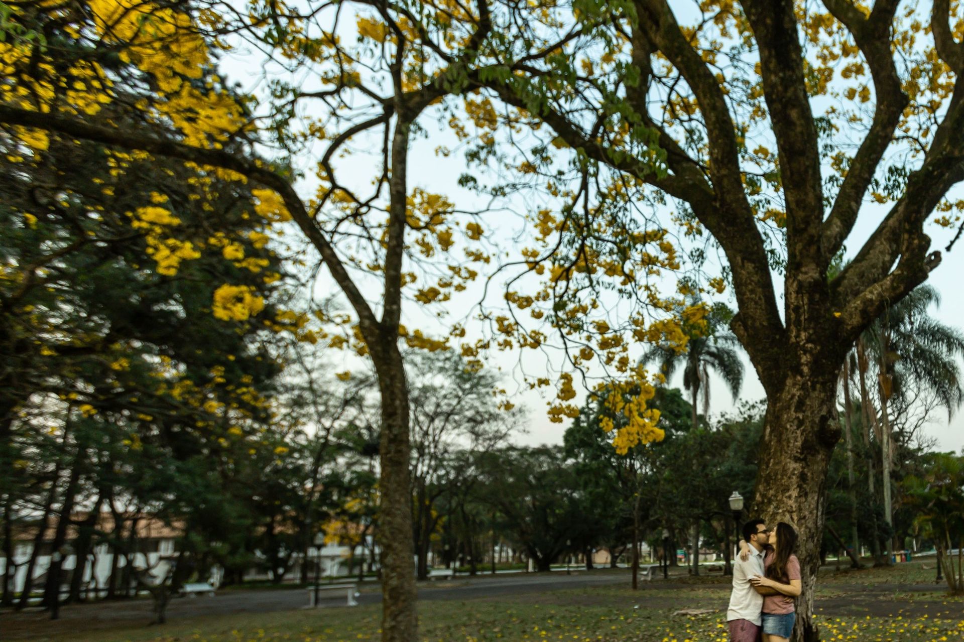 Foto Larissa & Lucas | Ensaio Aeroporto e Base Aérea Foto Larissa & Lucas | Ensaio Aeroporto e Base Aérea - Imagem 28