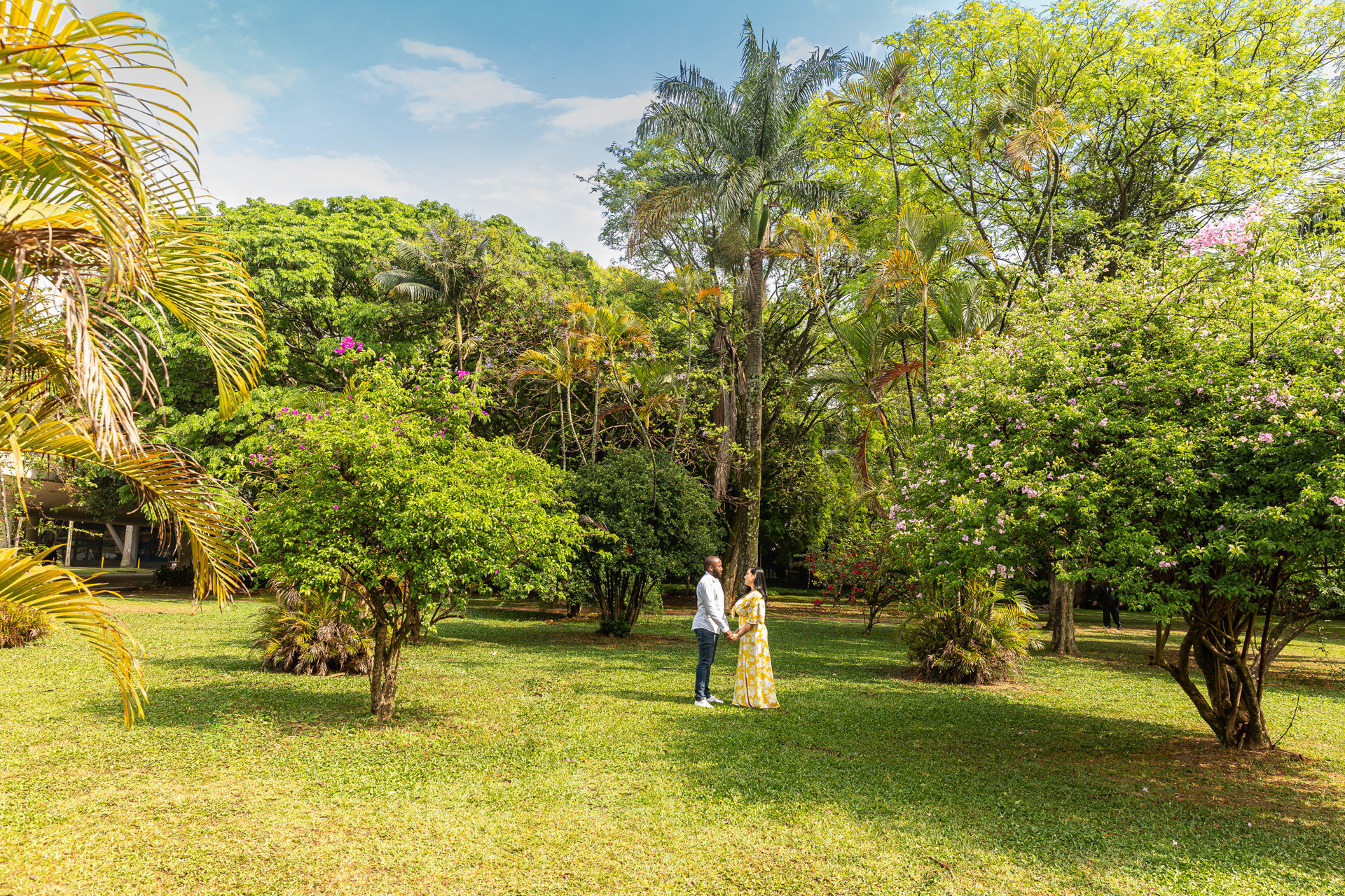 Foto Mari & Bruno Ensaio no Ibira Foto Mari & Bruno Ensaio no Ibira - Imagem 2