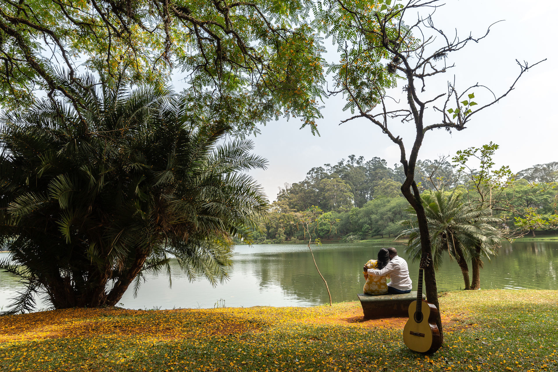 Foto Mari & Bruno Ensaio no Ibira Foto Mari & Bruno Ensaio no Ibira - Imagem 32