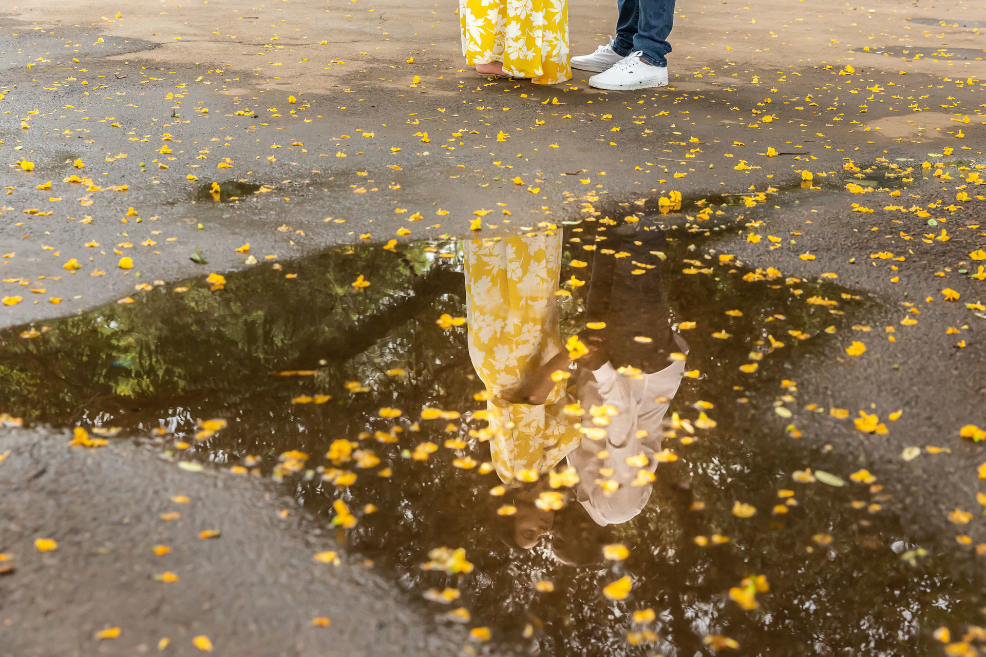 Foto Mari & Bruno Ensaio no Ibira Foto Mari & Bruno Ensaio no Ibira - Imagem 46