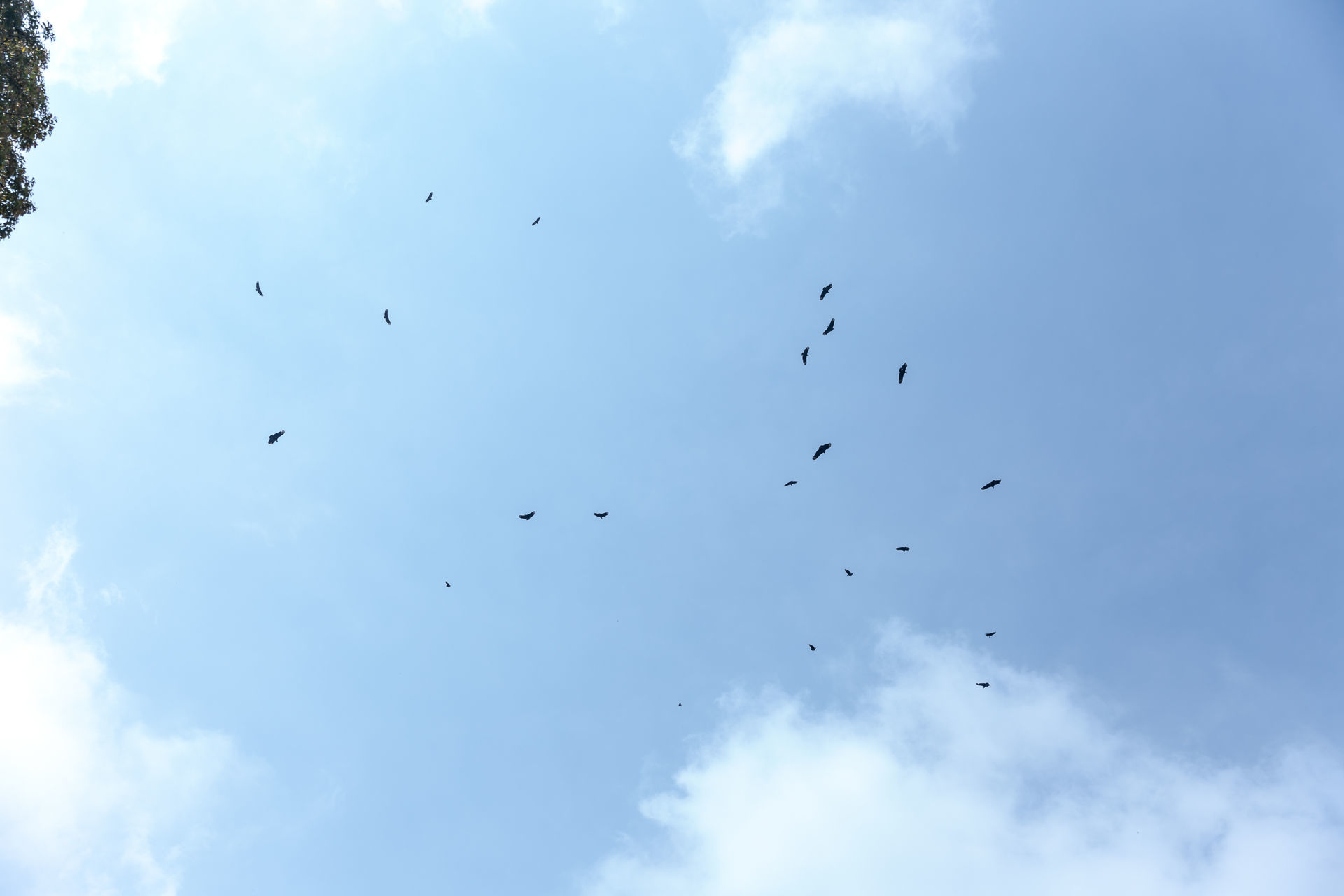 Foto Mari & Bruno Ensaio no Ibira Foto Mari & Bruno Ensaio no Ibira - Imagem 54