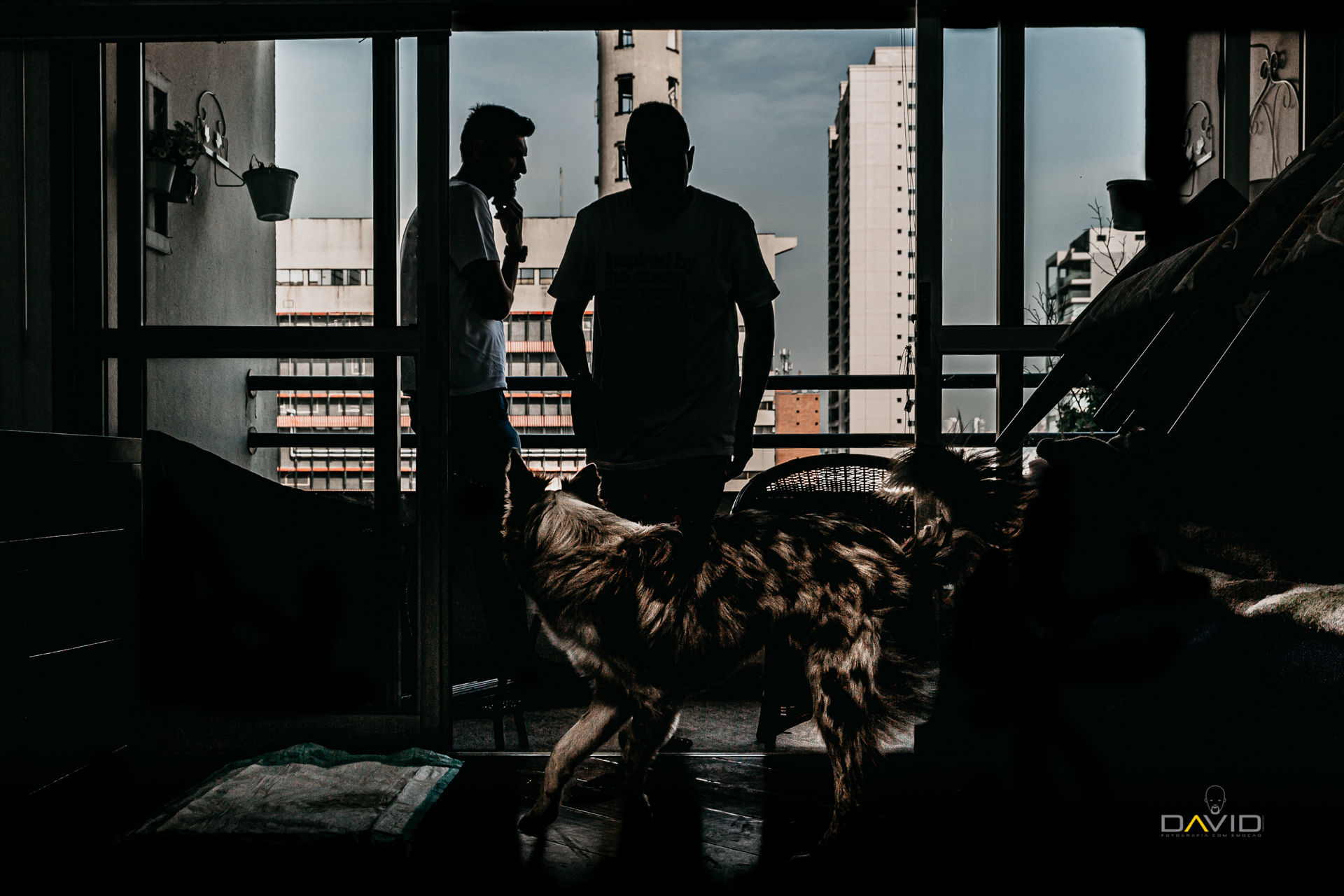 Foto Dani & Choco | Nós fomos feito um pro outro | Espaço Don Pepe Di Napoli Foto Dani & Choco | Nós fomos feito um pro outro | Espaço Don Pepe Di Napoli - Imagem 5