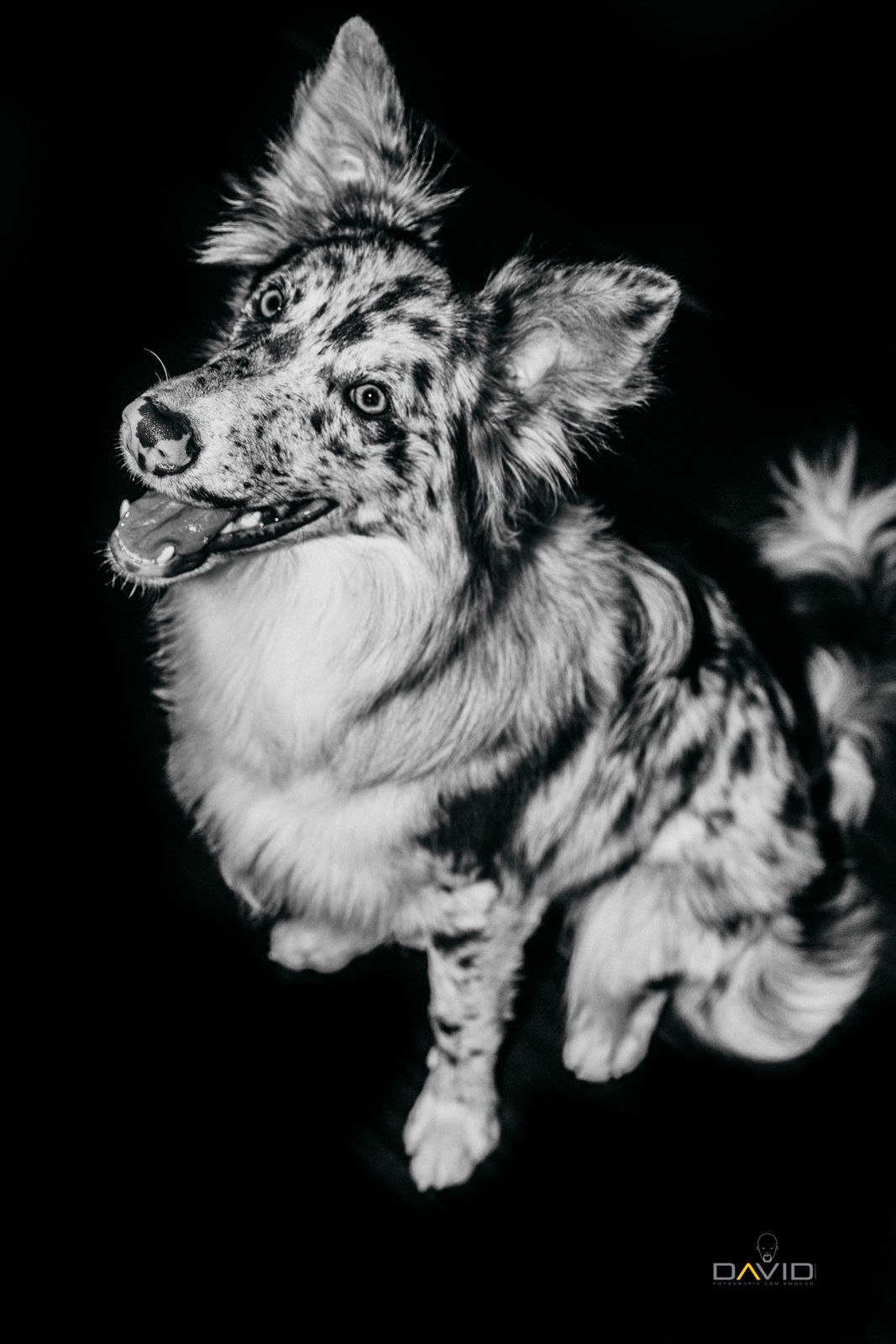 Foto Dani & Choco | Nós fomos feito um pro outro | Espaço Don Pepe Di Napoli Foto Dani & Choco | Nós fomos feito um pro outro | Espaço Don Pepe Di Napoli - Imagem 16