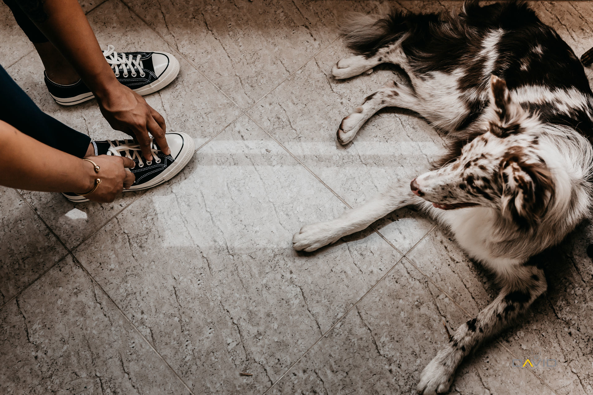 Foto Dani & Choco | XXI  | Espaço Don Pepe Di Napoli Foto Dani & Choco | XXI  | Espaço Don Pepe Di Napoli - Imagem 56