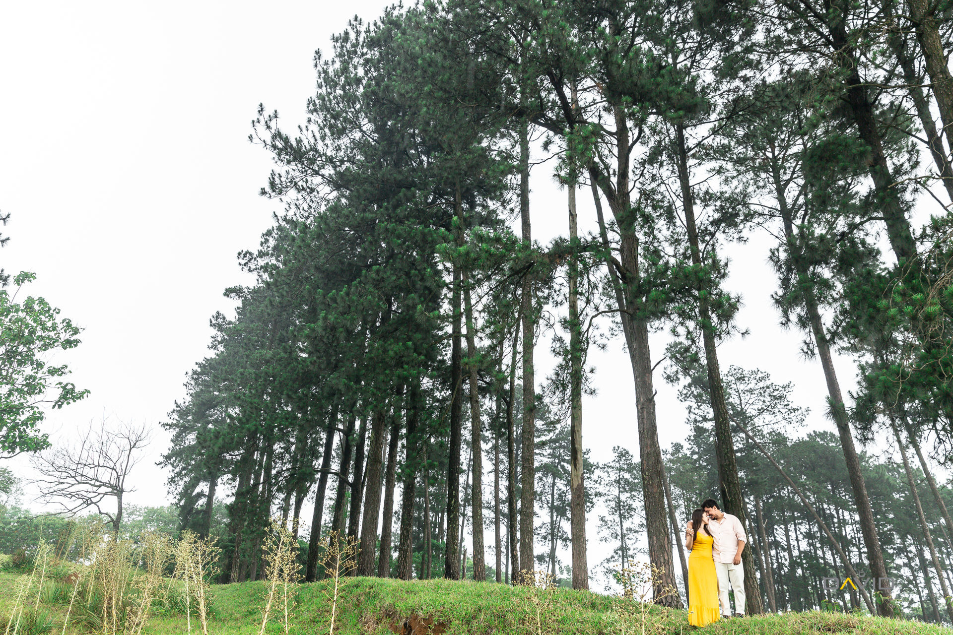 Foto NAYARA & RENATO | ENSAIO A 3 NO PICO - Imagem 10