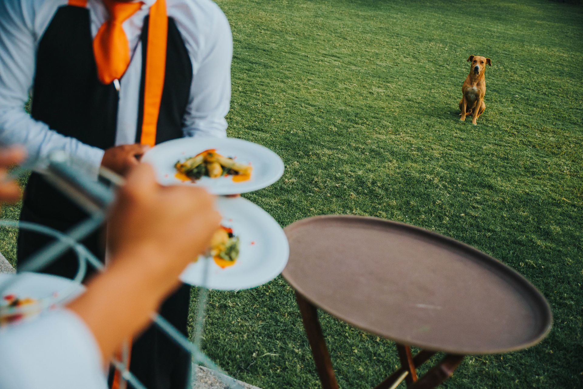 Foto Nanda & Tony #ref | Wedding Day Foto Nanda & Tony #ref | Wedding Day - Imagem 5