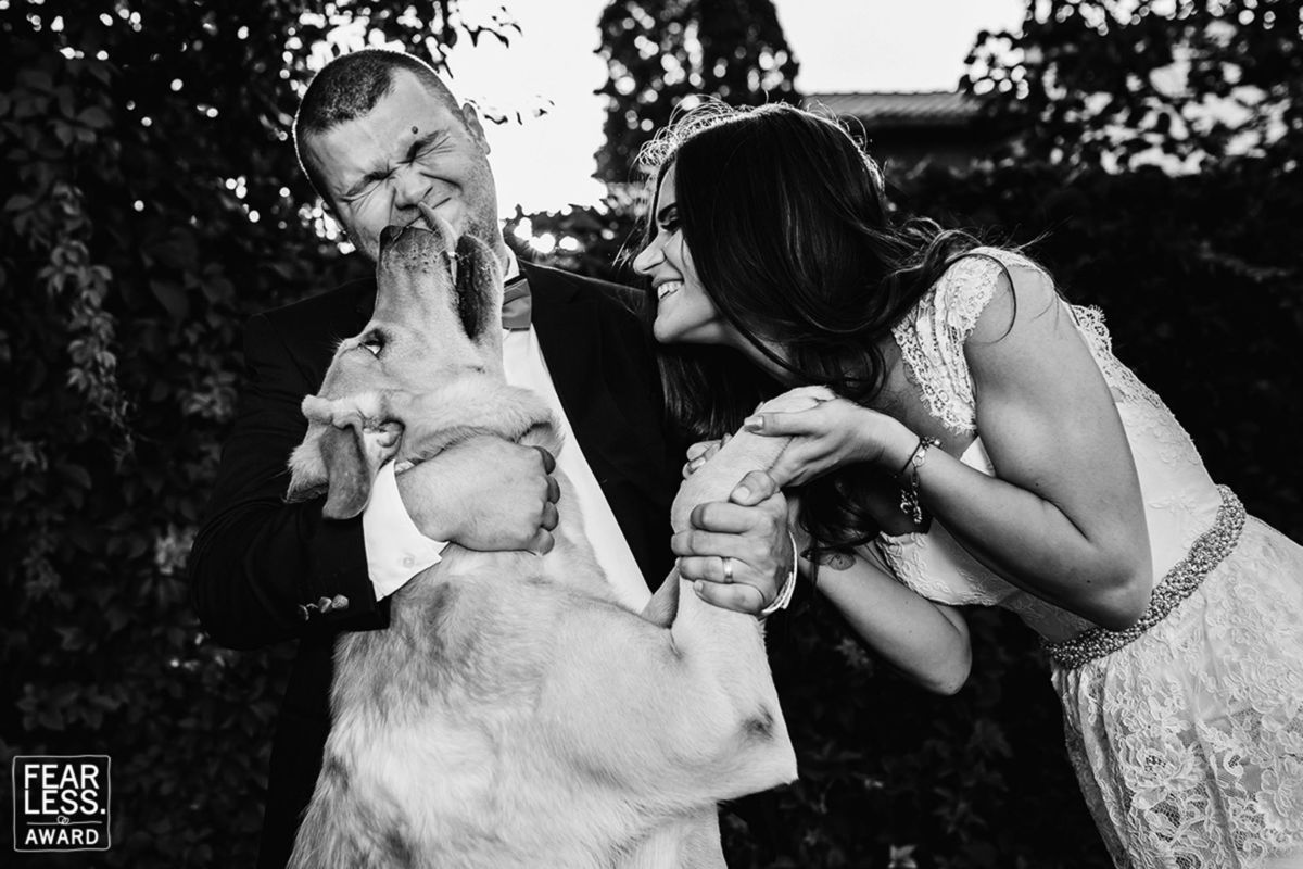 Foto DOGS AT WEDDINGS | 2017-2019 Foto DOGS AT WEDDINGS | 2017-2019 - Imagem 5