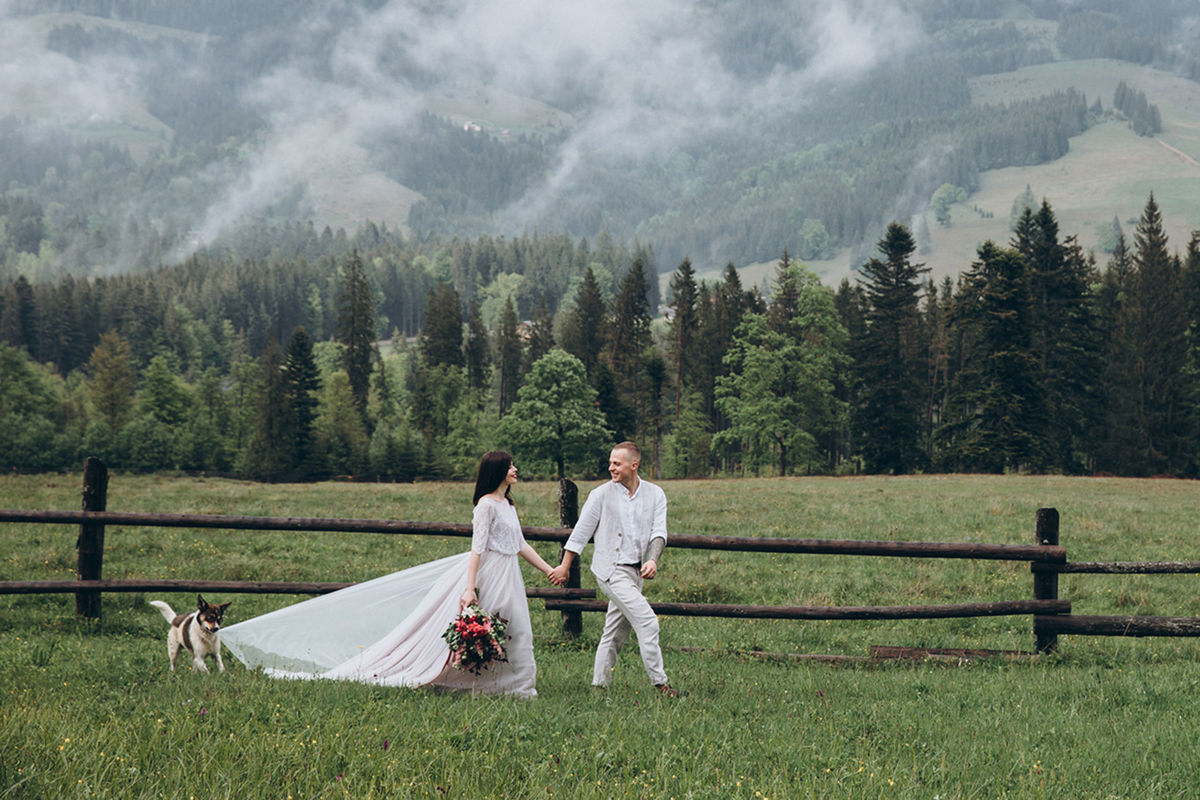 Foto DOGS AT WEDDINGS | 2017-2019 Foto DOGS AT WEDDINGS | 2017-2019 - Imagem 10