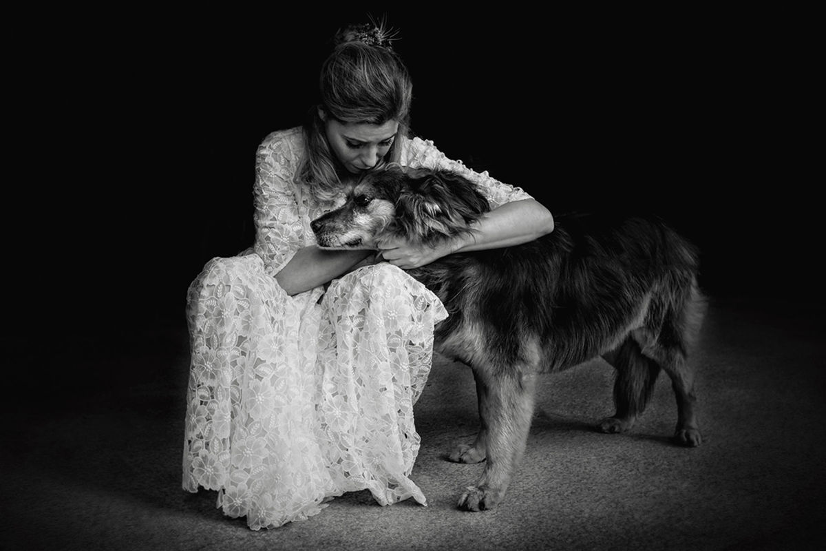 Foto DOGS AT WEDDINGS | 2017-2019 Foto DOGS AT WEDDINGS | 2017-2019 - Imagem 1