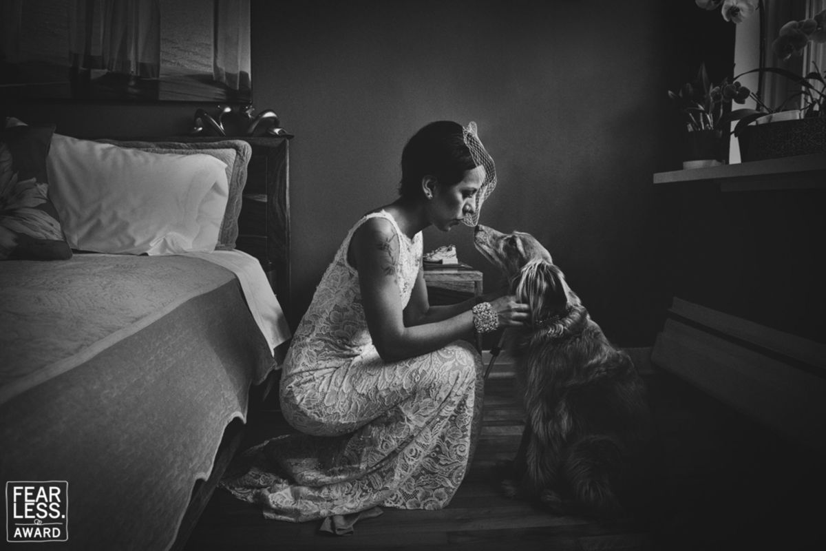 Foto DOGS AT WEDDINGS | 2017-2019 Foto DOGS AT WEDDINGS | 2017-2019 - Imagem 0