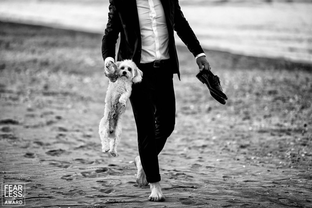 Foto DOGS AT WEDDINGS | 2017-2019 Foto DOGS AT WEDDINGS | 2017-2019 - Imagem 2