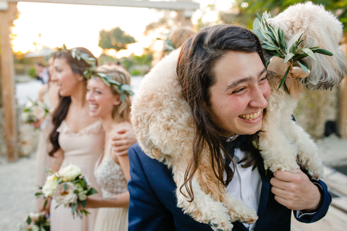 Foto DOGS AT WEDDINGS | 2017-2019 Foto DOGS AT WEDDINGS | 2017-2019 - Imagem 23