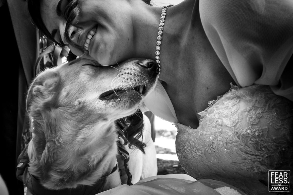 Foto DOGS AT WEDDINGS | 2017-2019 Foto DOGS AT WEDDINGS | 2017-2019 - Imagem 14