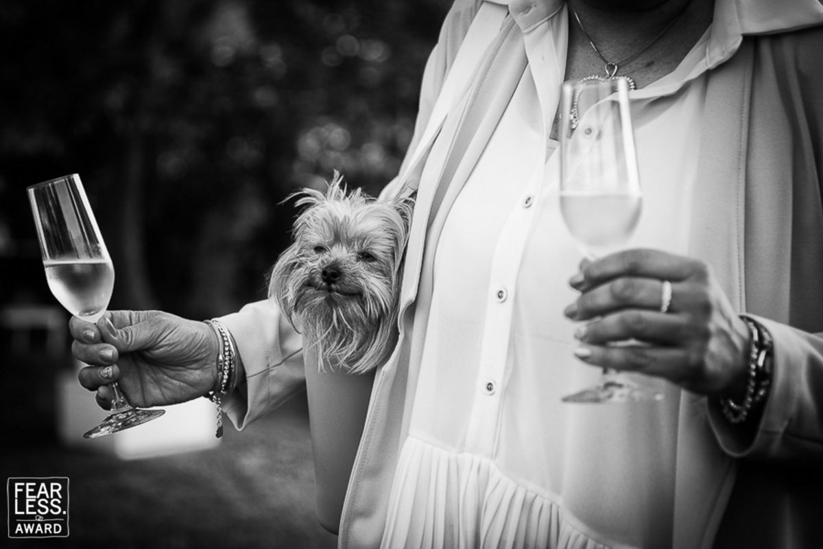 Foto DOGS AT WEDDINGS | 2017-2019 Foto DOGS AT WEDDINGS | 2017-2019 - Imagem 15