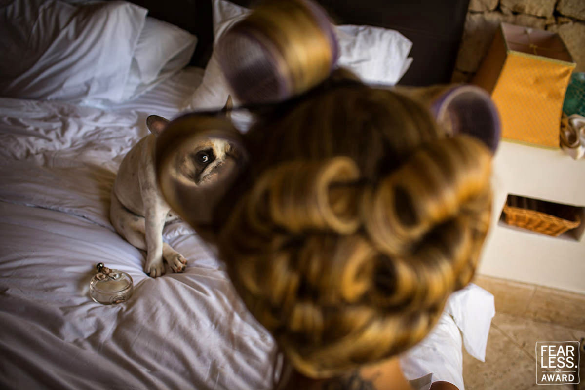 Foto DOGS AT WEDDINGS | 2017-2019 Foto DOGS AT WEDDINGS | 2017-2019 - Imagem 18