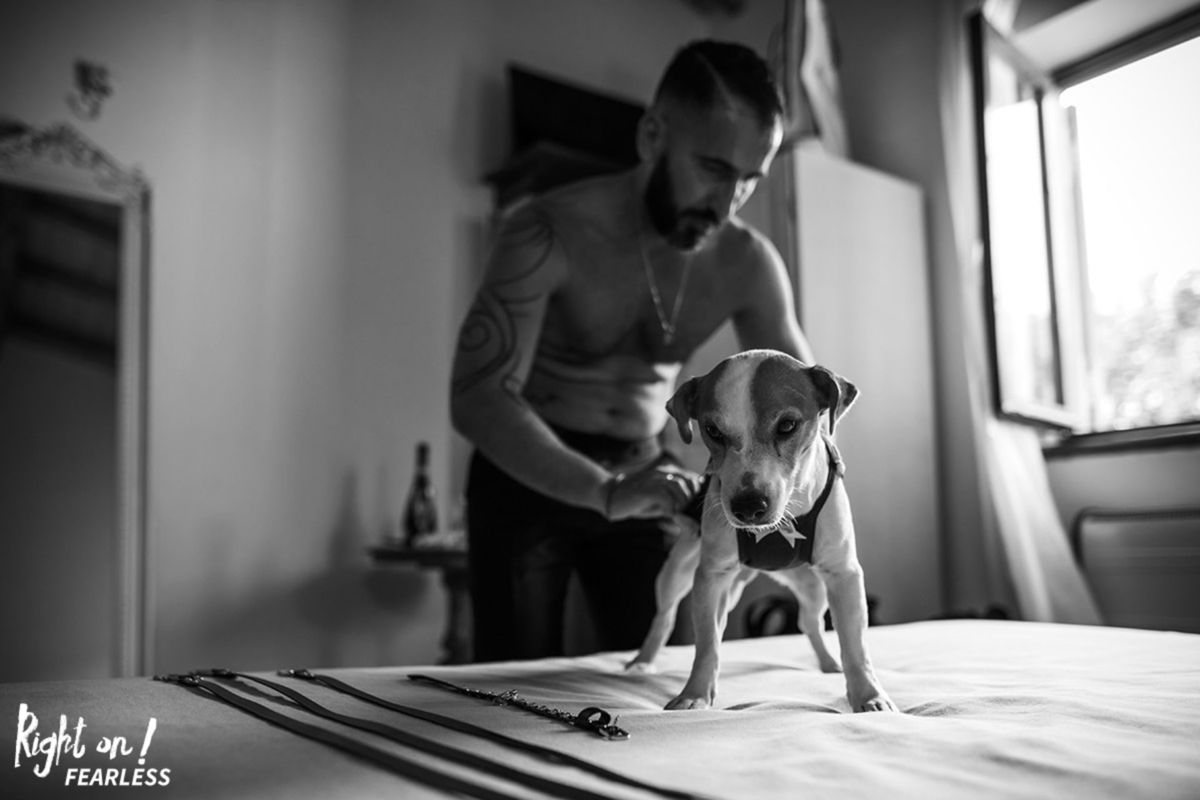 Foto DOGS AT WEDDINGS | 2017-2019 Foto DOGS AT WEDDINGS | 2017-2019 - Imagem 35