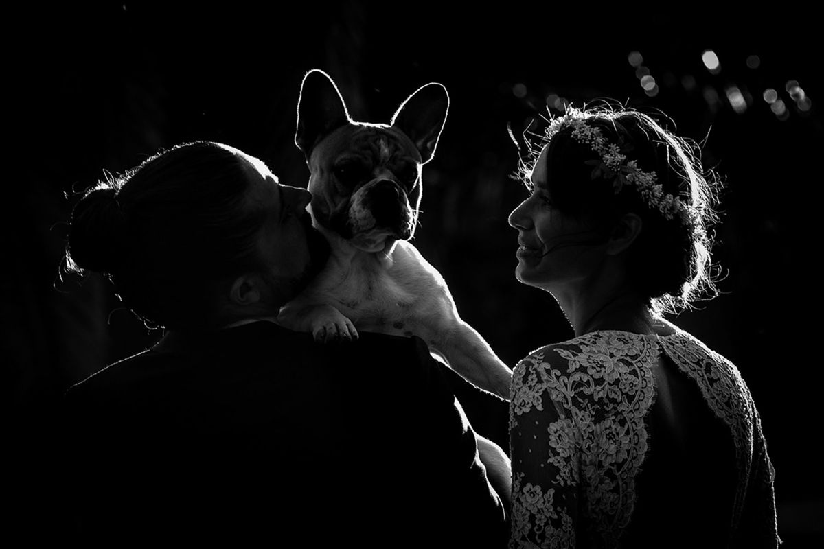 Foto DOGS AT WEDDINGS | 2017-2019 Foto DOGS AT WEDDINGS | 2017-2019 - Imagem 34