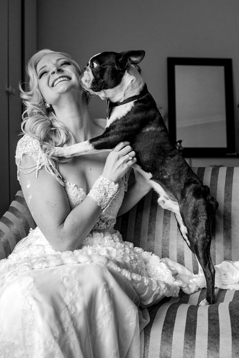 Foto DOGS AT WEDDINGS | 2017-2019 Foto DOGS AT WEDDINGS | 2017-2019 - Imagem 42