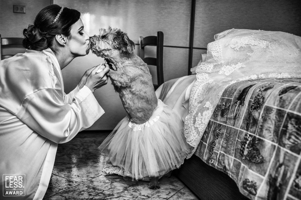 Foto DOGS AT WEDDINGS | 2017-2019 Foto DOGS AT WEDDINGS | 2017-2019 - Imagem 38