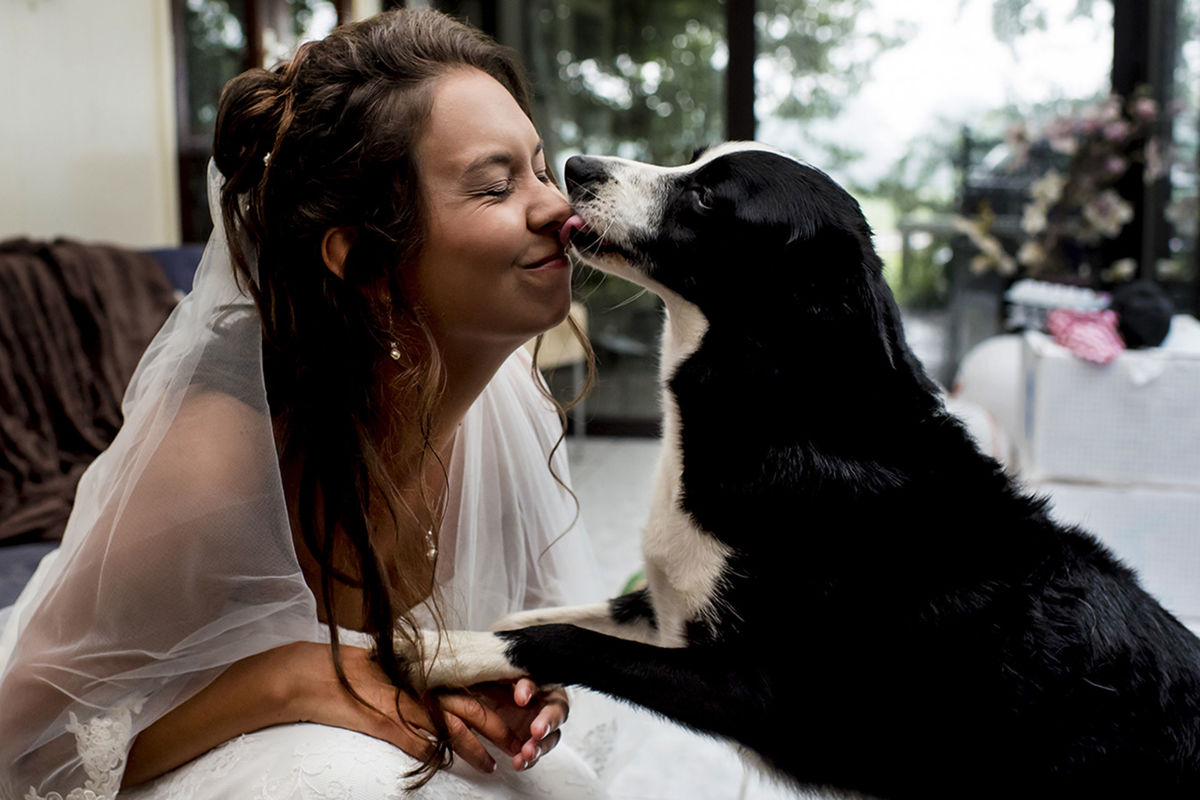 Foto DOGS AT WEDDINGS | 2017-2019 Foto DOGS AT WEDDINGS | 2017-2019 - Imagem 27
