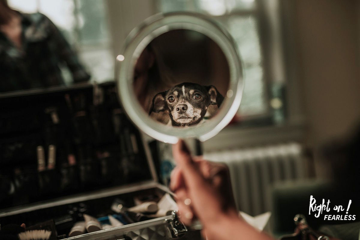 Foto DOGS AT WEDDINGS | 2017-2019 Foto DOGS AT WEDDINGS | 2017-2019 - Imagem 55