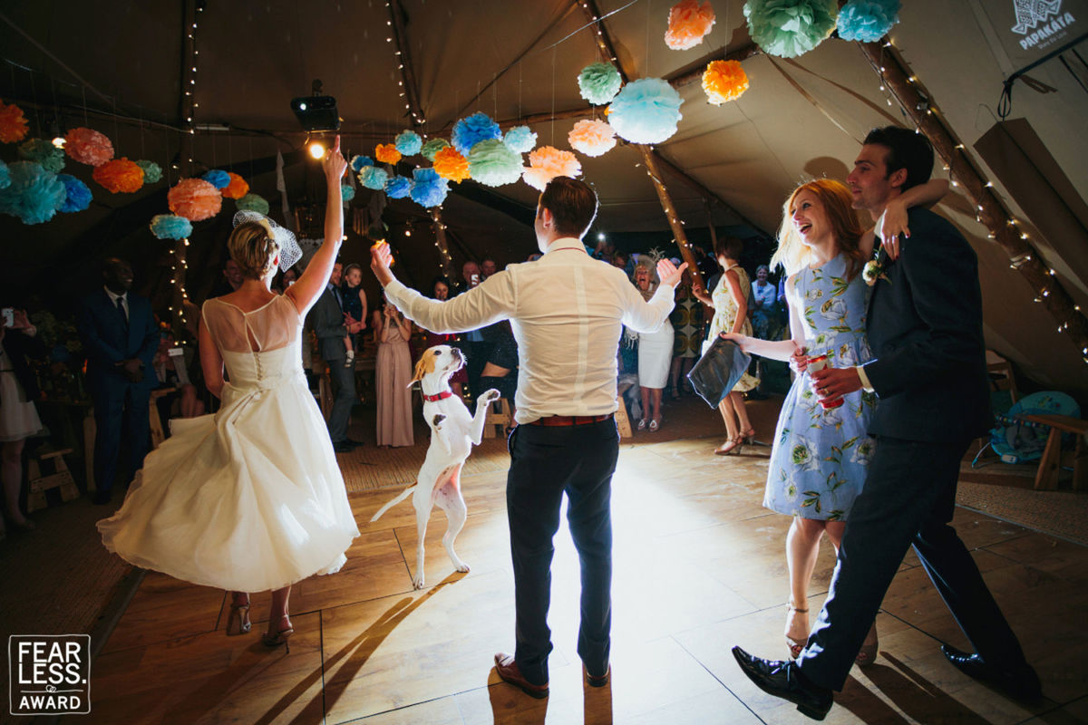 Foto DOGS AT WEDDINGS | 2017-2019 Foto DOGS AT WEDDINGS | 2017-2019 - Imagem 46