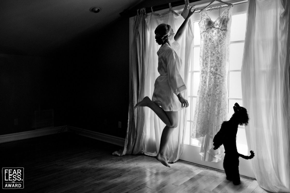 Foto DOGS AT WEDDINGS | 2017-2019 Foto DOGS AT WEDDINGS | 2017-2019 - Imagem 65
