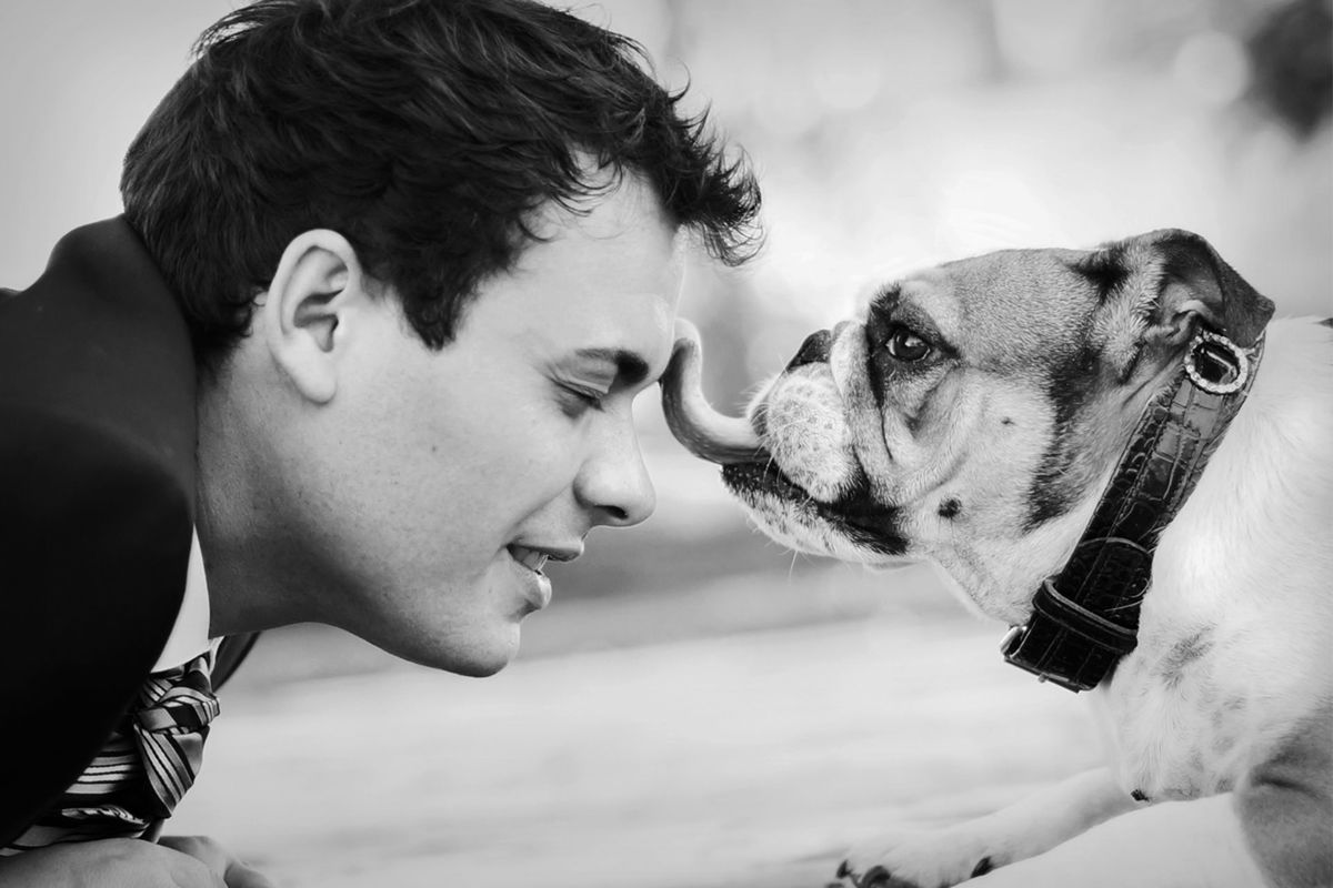 Foto DOGS AT WEDDINGS | 2017-2019 Foto DOGS AT WEDDINGS | 2017-2019 - Imagem 48