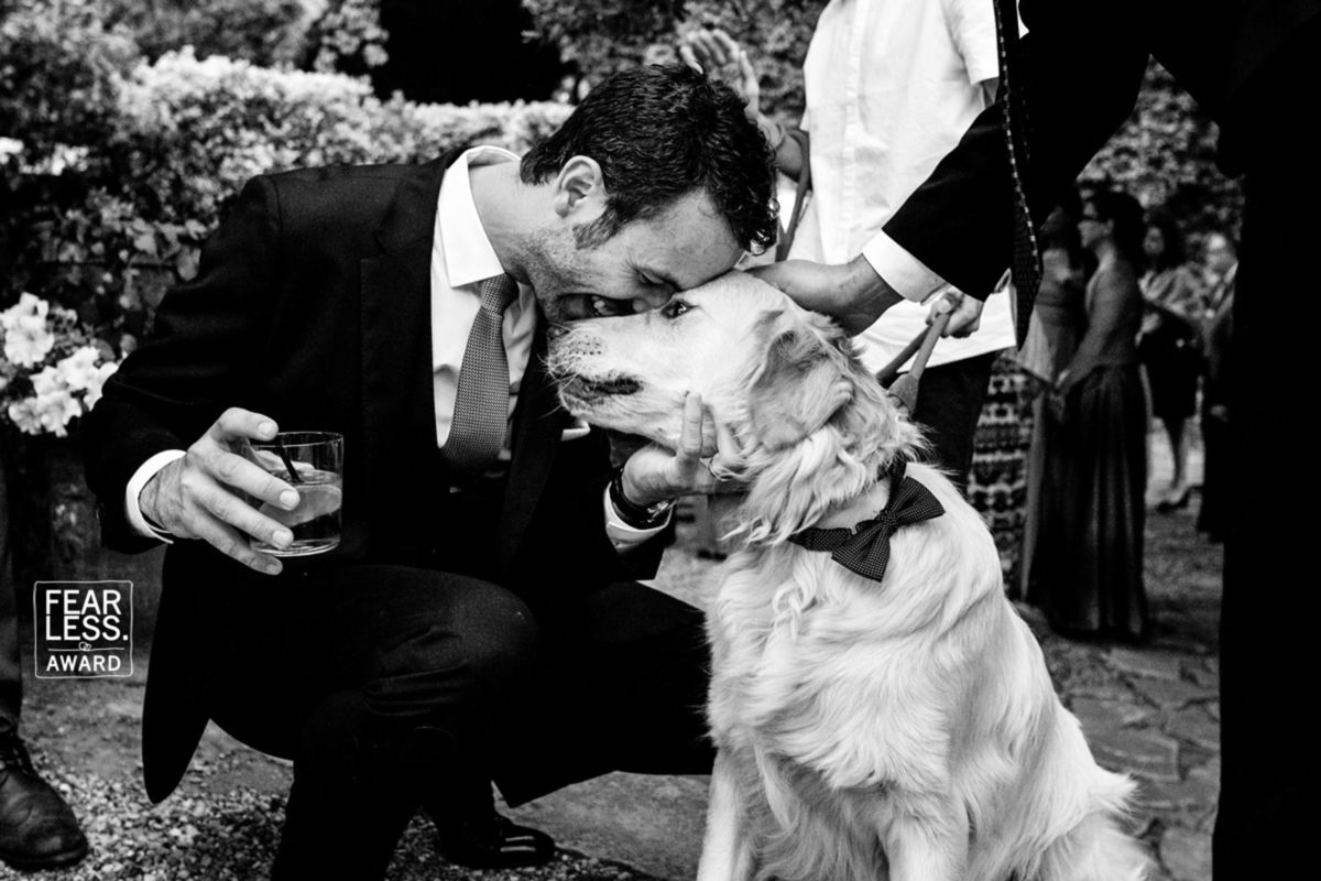 Foto DOGS AT WEDDINGS | 2017-2019 Foto DOGS AT WEDDINGS | 2017-2019 - Imagem 61