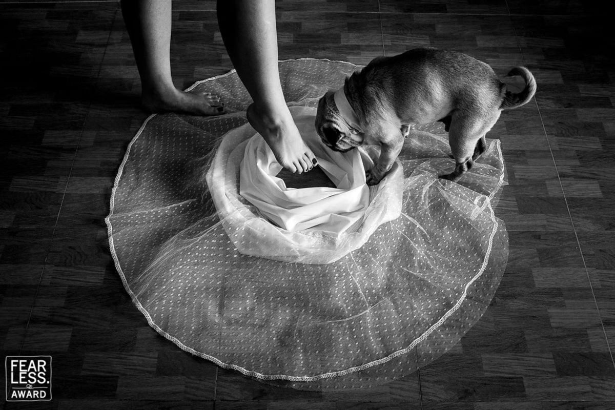 Foto DOGS AT WEDDINGS | 2017-2019 Foto DOGS AT WEDDINGS | 2017-2019 - Imagem 50