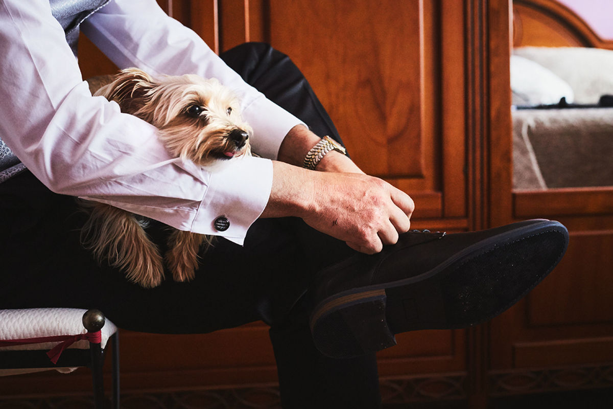 Foto DOGS AT WEDDINGS | 2017-2019 Foto DOGS AT WEDDINGS | 2017-2019 - Imagem 51