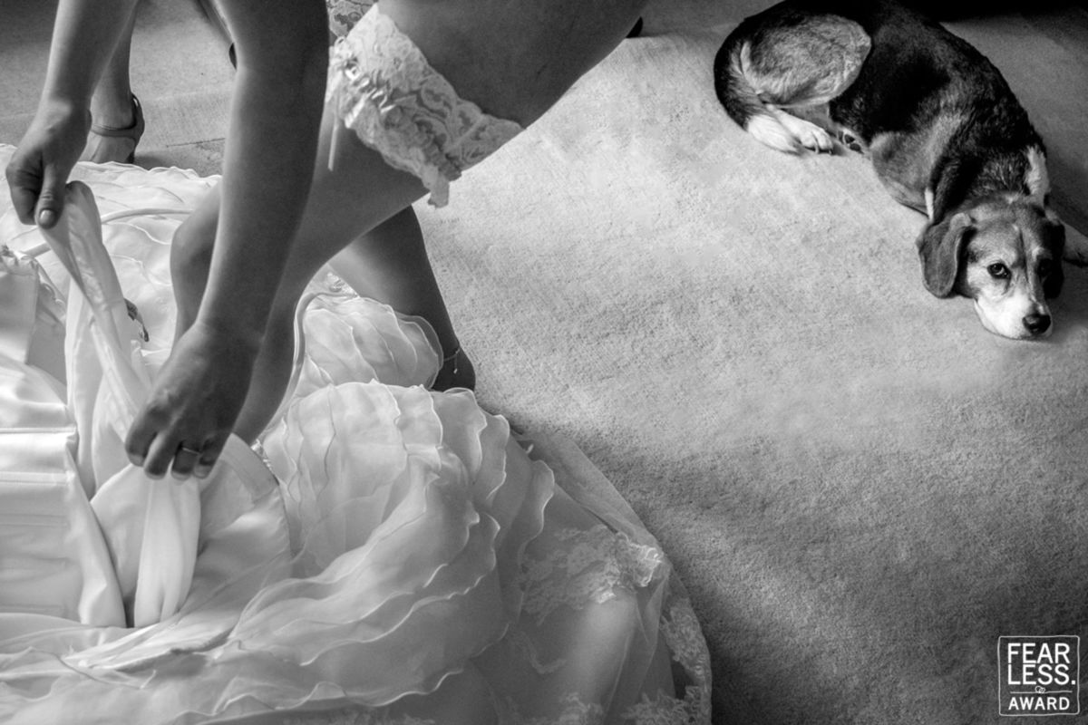 Foto DOGS AT WEDDINGS | 2017-2019 Foto DOGS AT WEDDINGS | 2017-2019 - Imagem 52