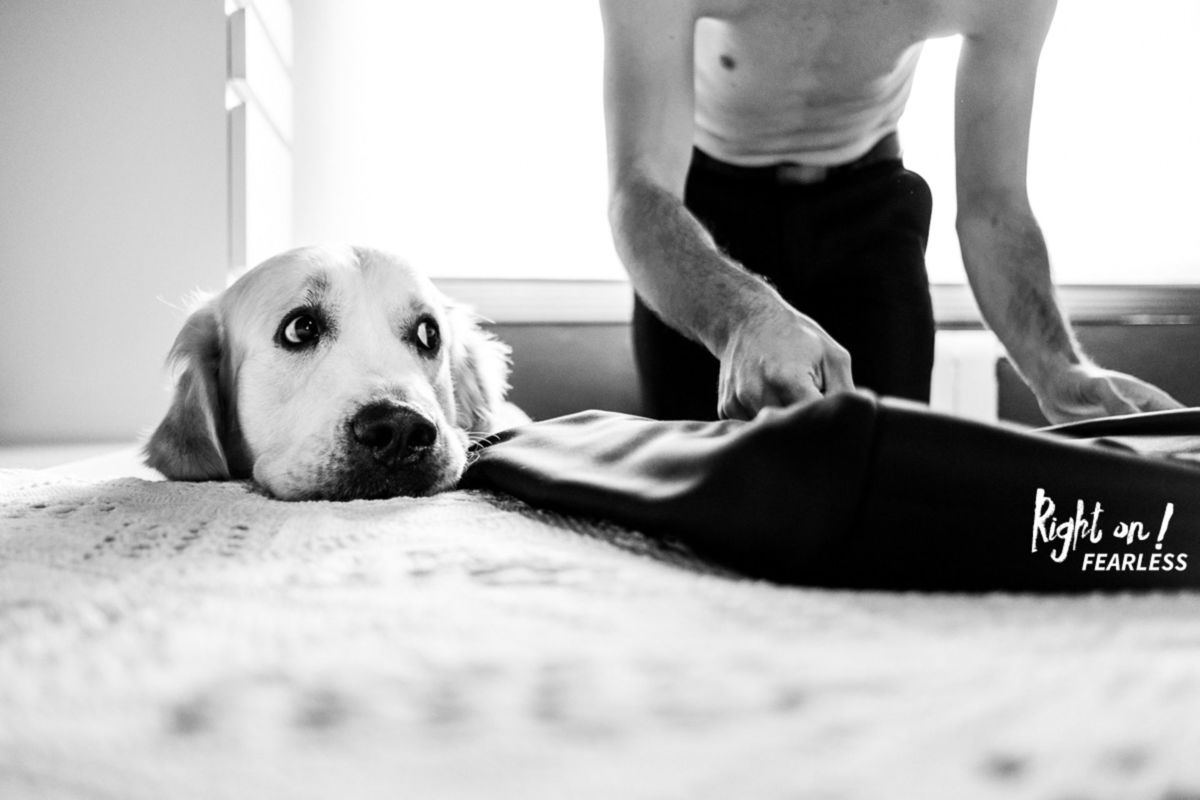 Foto DOGS AT WEDDINGS | 2017-2019 Foto DOGS AT WEDDINGS | 2017-2019 - Imagem 81