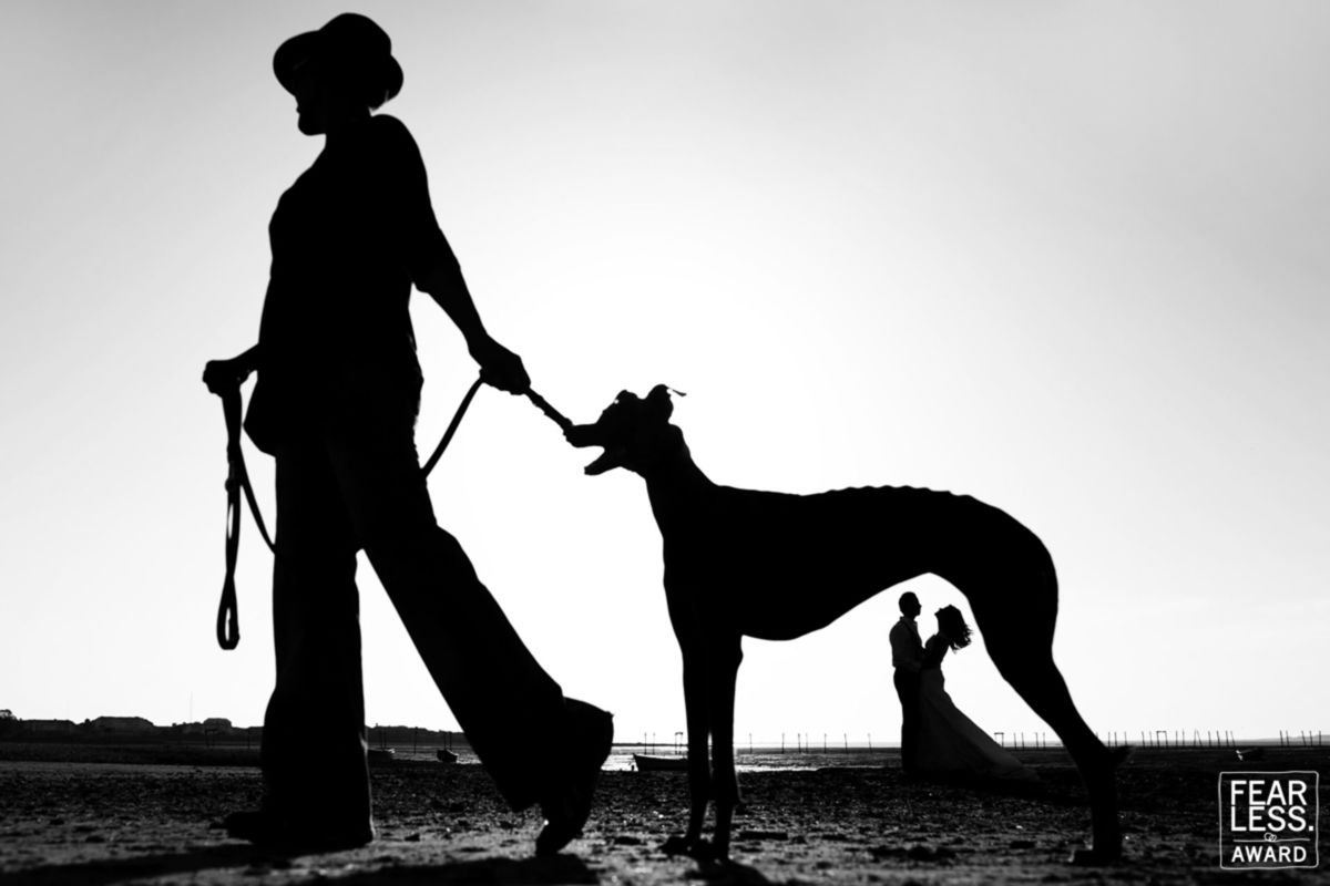 Foto DOGS AT WEDDINGS | 2017-2019 Foto DOGS AT WEDDINGS | 2017-2019 - Imagem 85