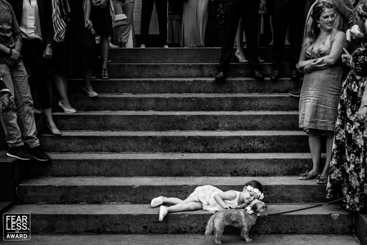 Foto DOGS AT WEDDINGS | 2017-2019 Foto DOGS AT WEDDINGS | 2017-2019 - Imagem 75