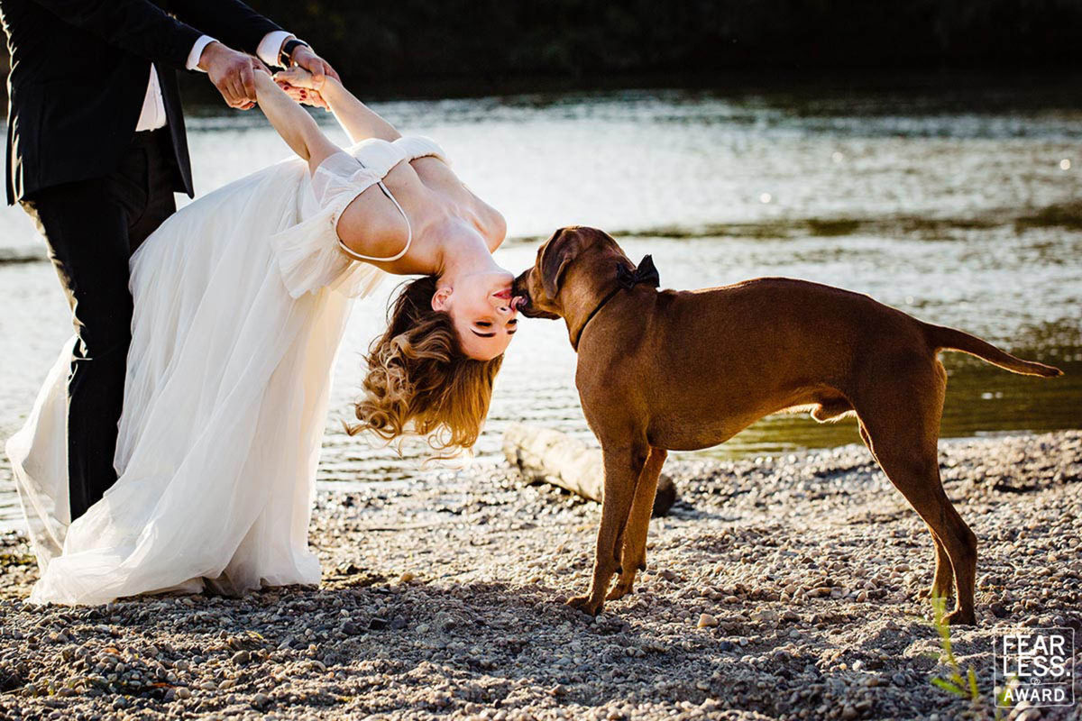 Foto DOGS AT WEDDINGS | 2017-2019 Foto DOGS AT WEDDINGS | 2017-2019 - Imagem 80
