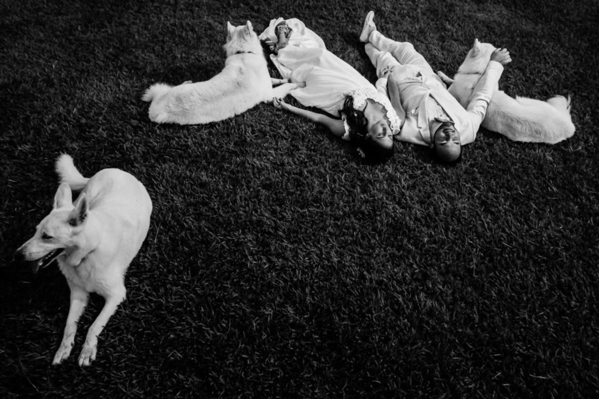 Foto DOGS AT WEDDINGS | 2017-2019 Foto DOGS AT WEDDINGS | 2017-2019 - Imagem 78