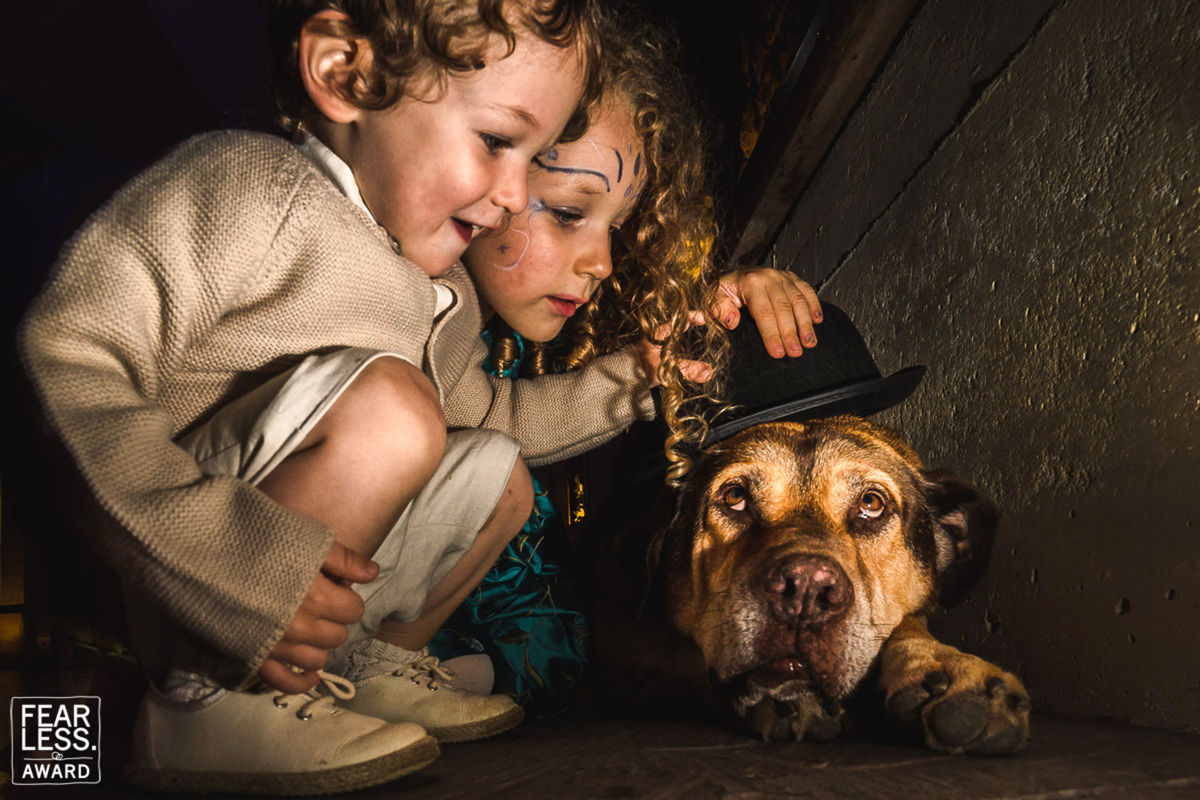 Foto DOGS AT WEDDINGS | 2017-2019 Foto DOGS AT WEDDINGS | 2017-2019 - Imagem 73