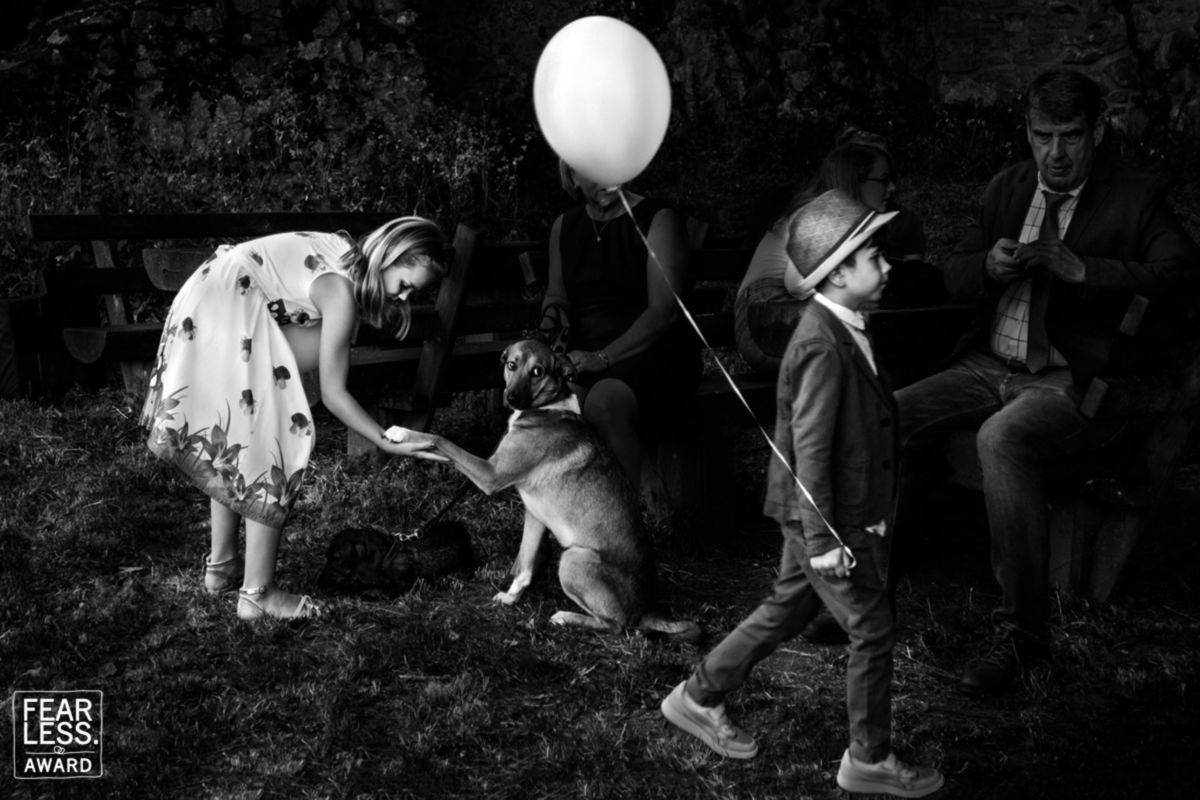 Foto DOGS AT WEDDINGS | 2017-2019 Foto DOGS AT WEDDINGS | 2017-2019 - Imagem 84