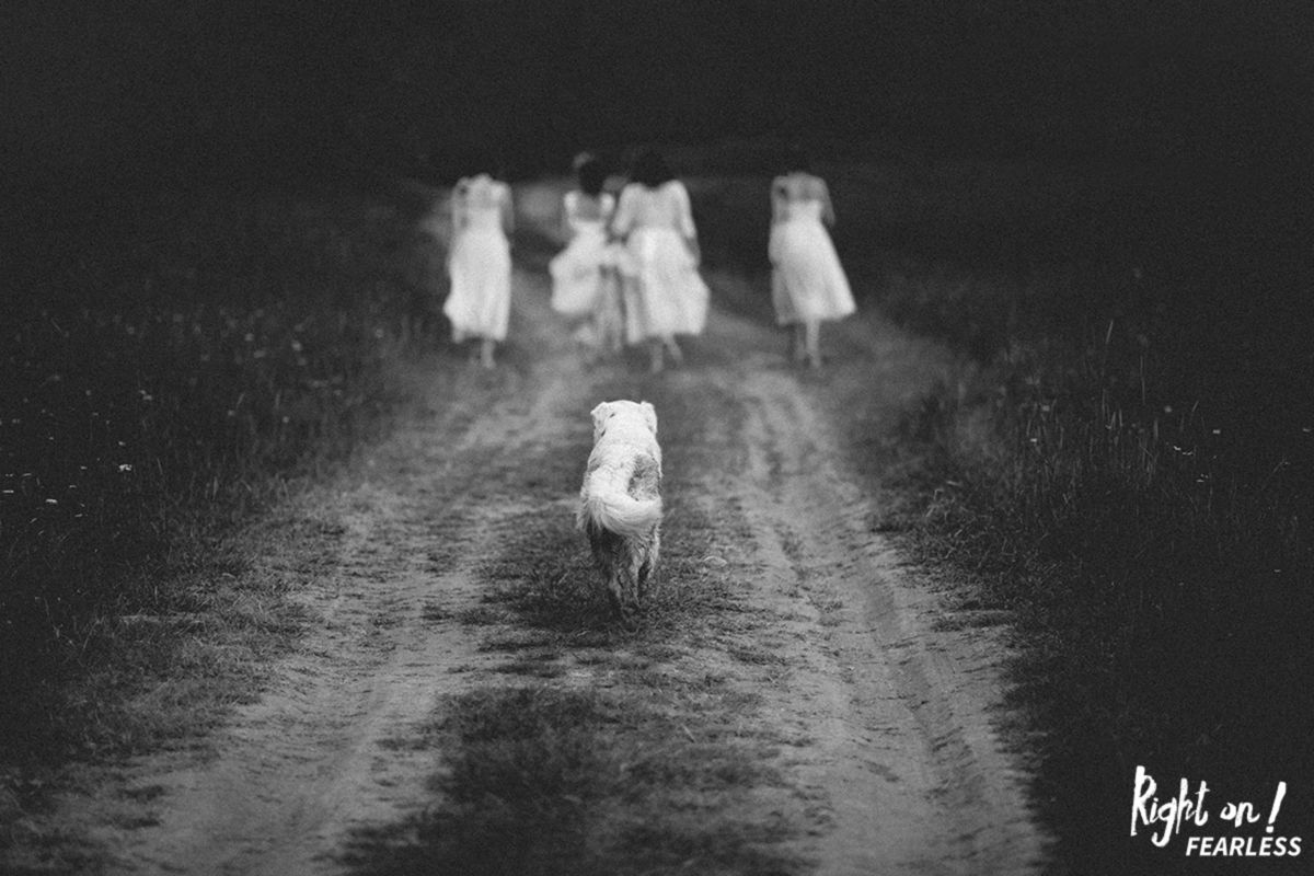 Foto DOGS AT WEDDINGS | 2017-2019 Foto DOGS AT WEDDINGS | 2017-2019 - Imagem 76