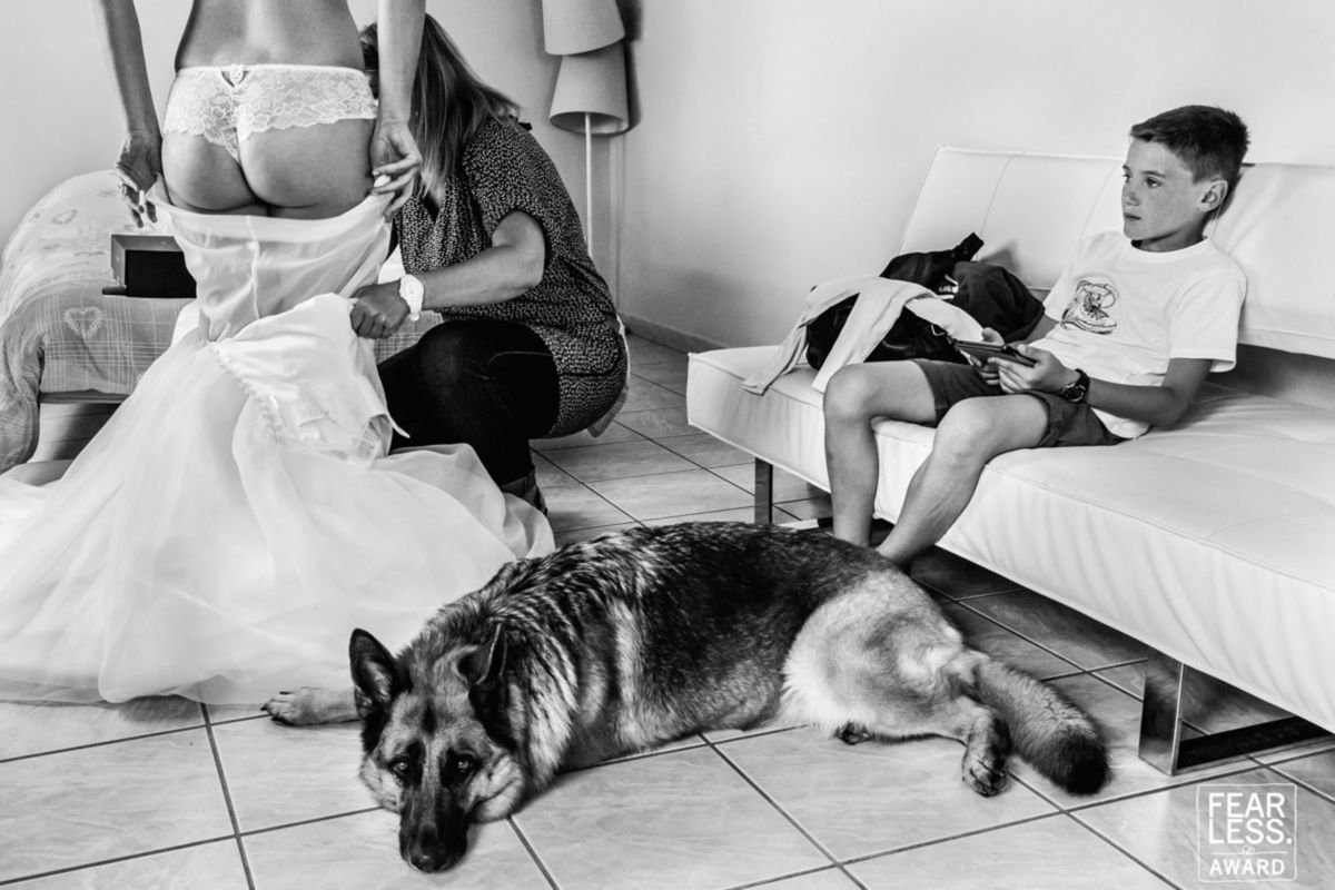Foto DOGS AT WEDDINGS | 2017-2019 Foto DOGS AT WEDDINGS | 2017-2019 - Imagem 90