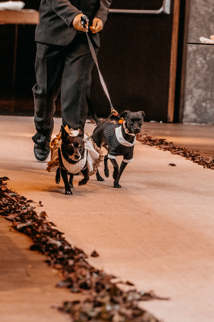 Foto Gabe & Tachi |  Mini Wedding - Imagem 12