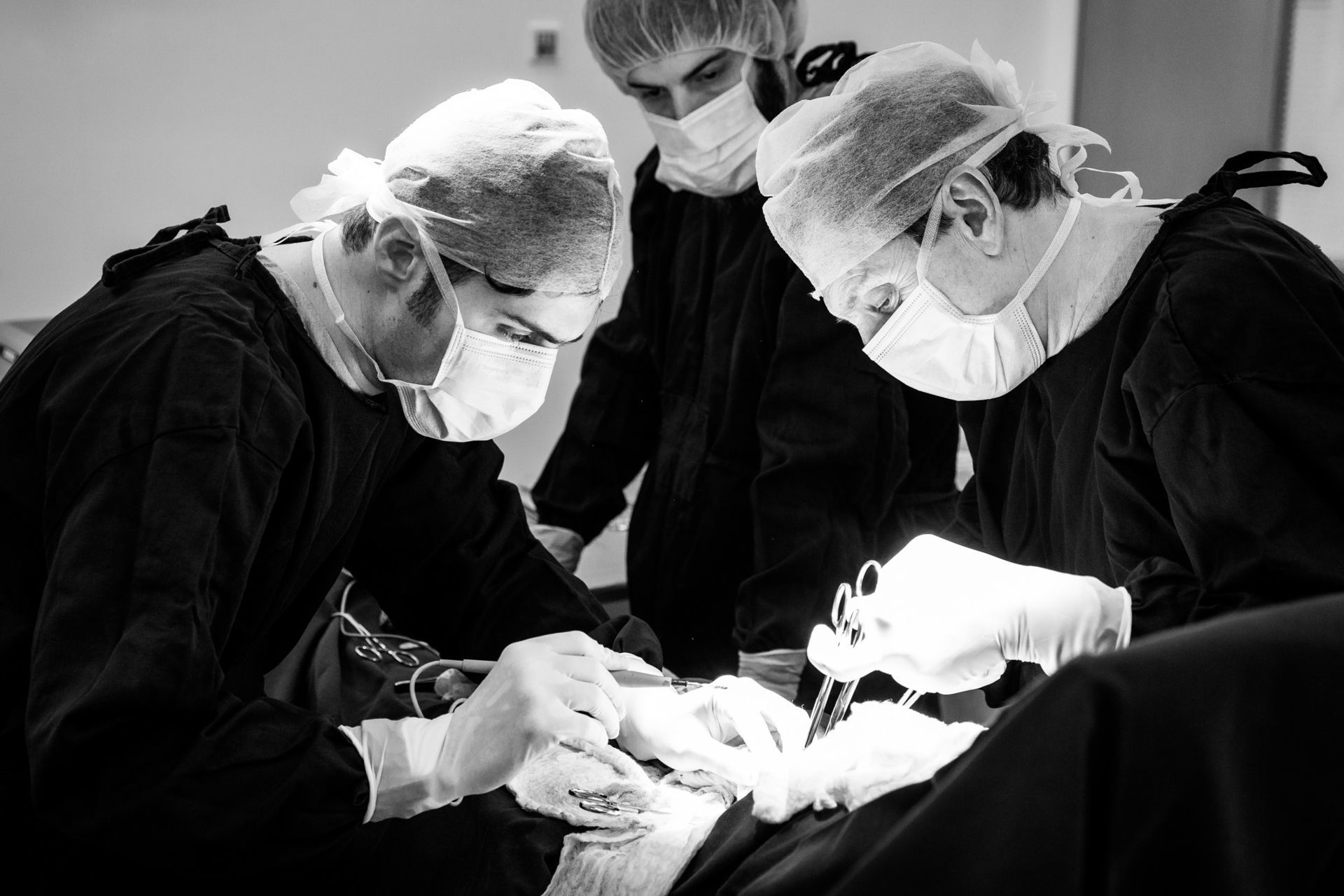 Foto AMANDA APPEL | O PARTO  - Imagem 11