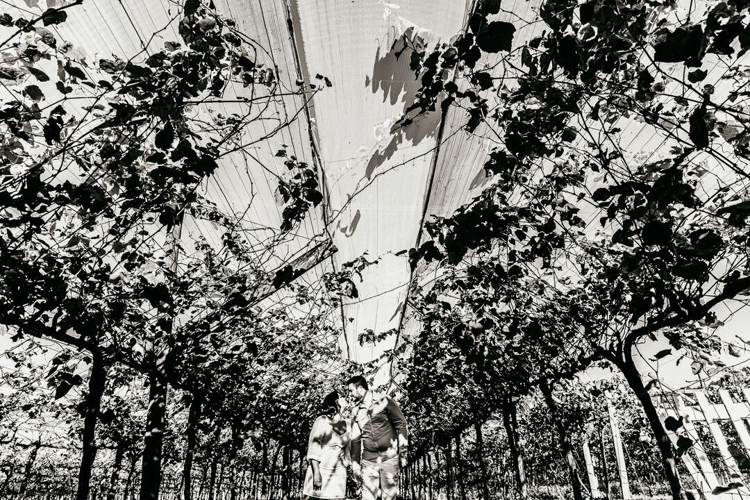 Foto THAMMYS & BRUNO | UM HISTÓRIA REGADA A VINHO Foto THAMMYS & BRUNO | UM HISTÓRIA REGADA A VINHO - Imagem 9