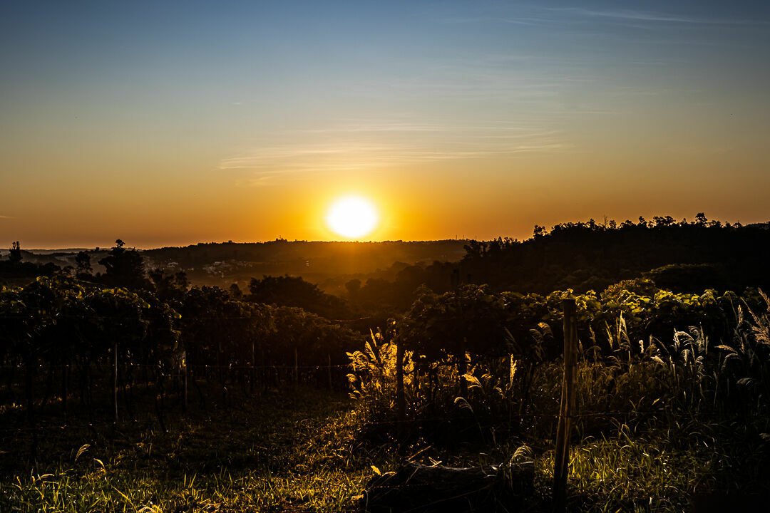 Foto THAMMYS & BRUNO | UM HISTÓRIA REGADA A VINHO Foto THAMMYS & BRUNO | UM HISTÓRIA REGADA A VINHO - Imagem 15